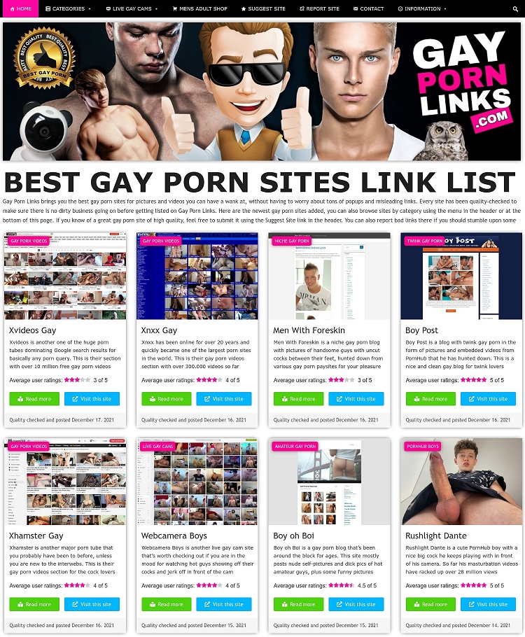 Top Gay Porn Sites